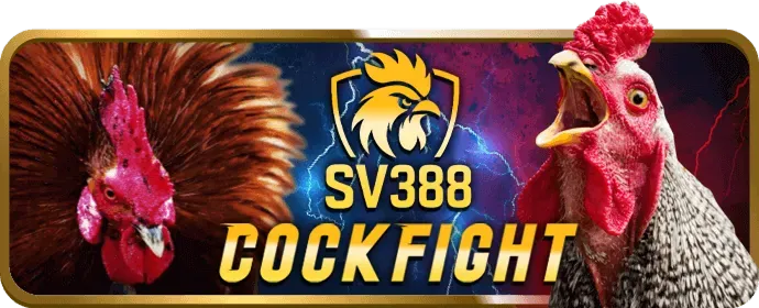 Ưu đãi VIP bj88 game